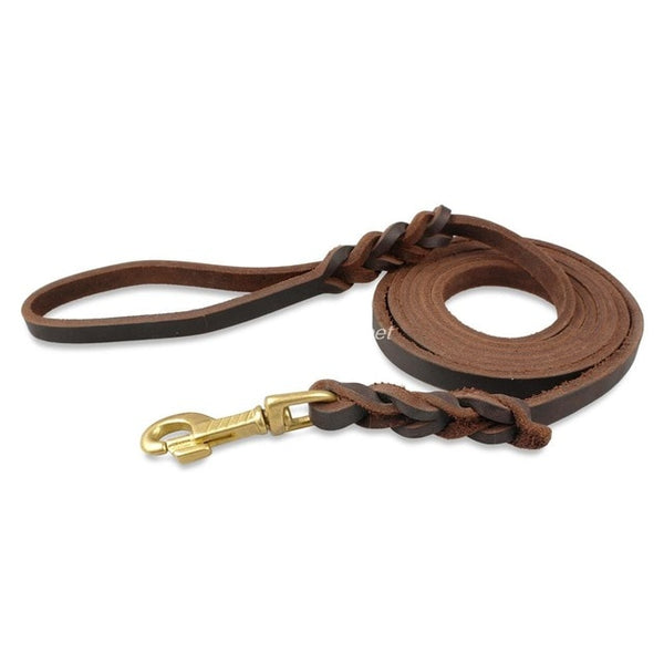 Braided Leather Walking Leash